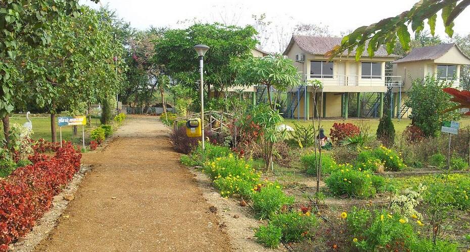 Olive Nature Park & Resort, Nagpur 1